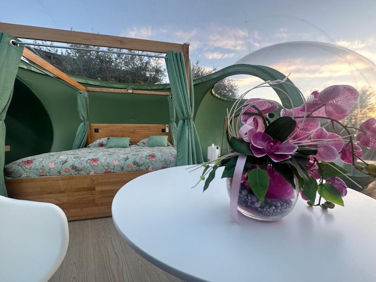 Villa Ulivi Filiano Ngoại thất bức ảnh